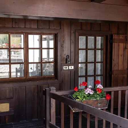The Mountain View Lodge - Courmayeur Exterior photo
