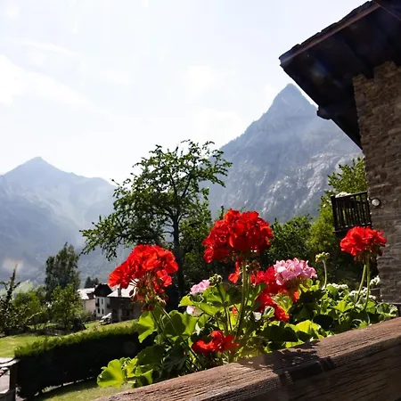 The Mountain View Lodge - Courmayeur Exterior photo