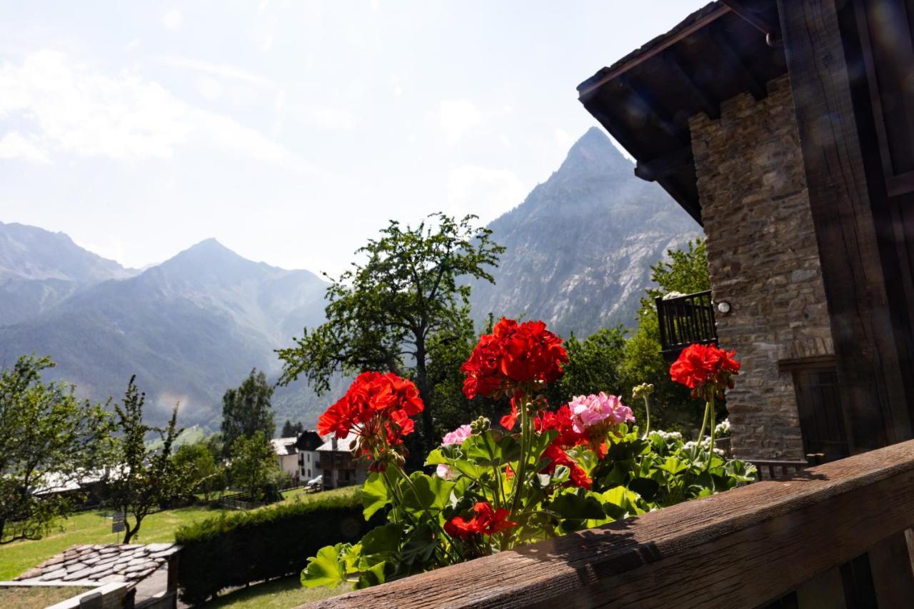 Apartment The Mountain View -