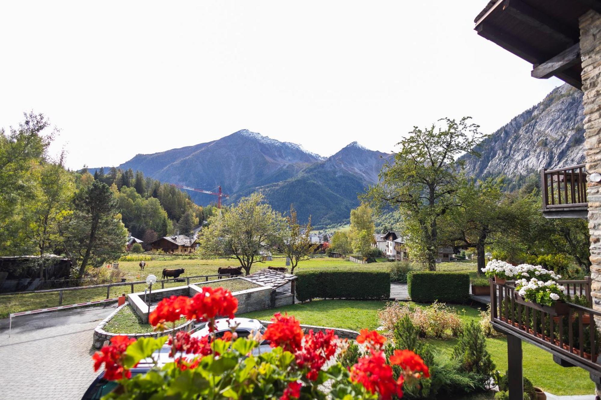The Mountain View - *