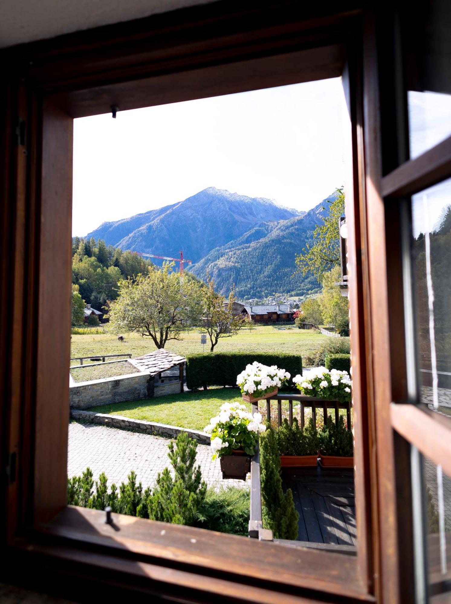 The Mountain View - Apartment Courmayeur
